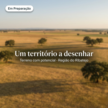 Terreno em Santarém